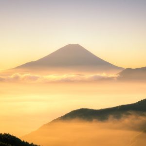 栗田ゆが（羽栗田：中国表記）さんの作品取扱いを開始いたしました。